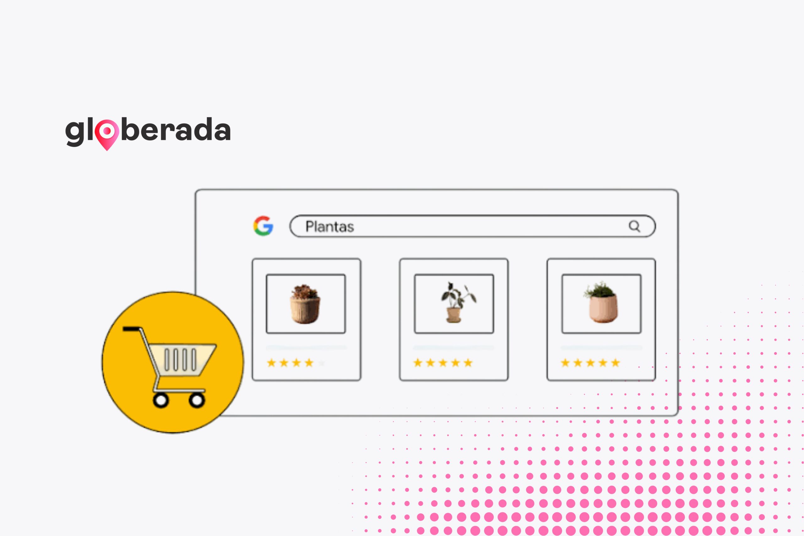 guía básica feed producto